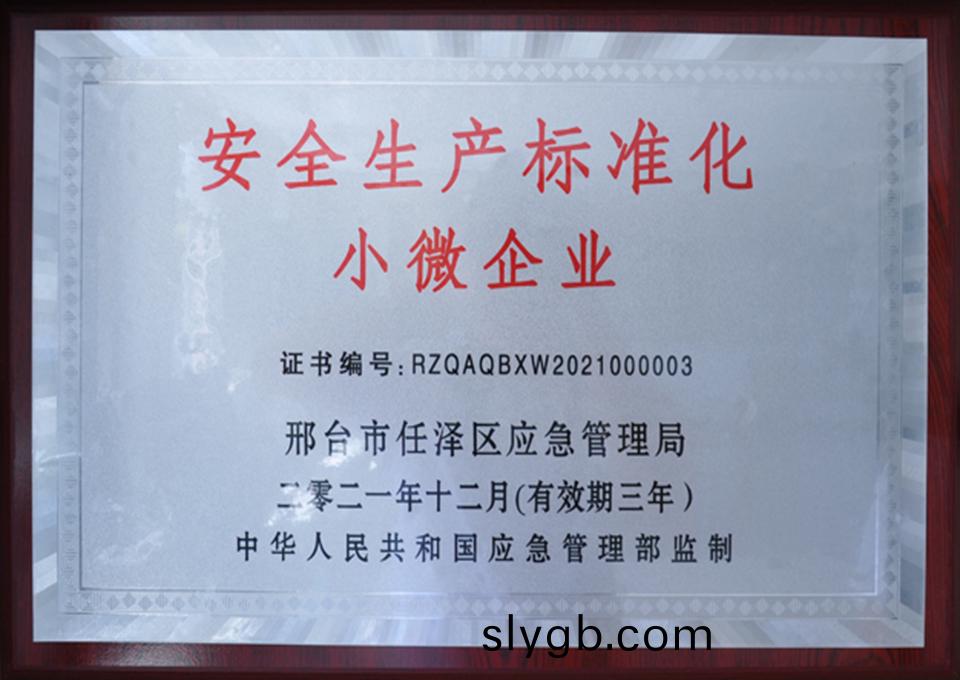 安全生産標(biao)準化